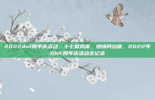 2022dnf周年庆活动,十七载风雨,燃情阿拉德,2022年DNF周年庆活动全记录