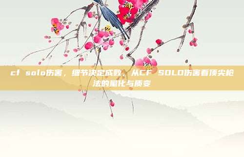 cf solo伤害,细节决定成败,从CF SOLO伤害看顶尖枪法的量化与质变