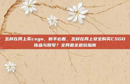 怎样在网上买csgo,新手必看,怎样在网上安全购买CSGO饰品与账号?全网最全避坑指南