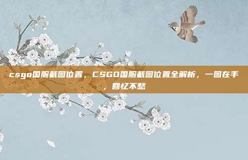 csgo国服截图位置,CSGO国服截图位置全解析,一图在手,回忆不愁