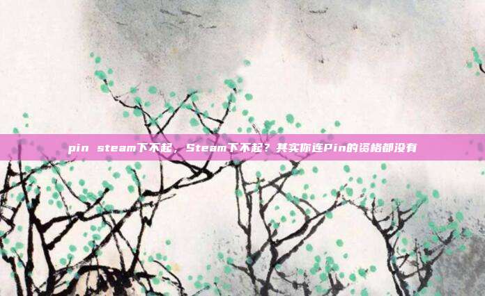 pin steam下不起,Steam下不起?其实你连Pin的资格都没有