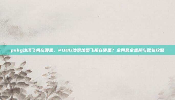 pubg沙漠飞机在哪里,PUBG沙漠地图飞机在哪里?全网最全坐标与舔包攻略
