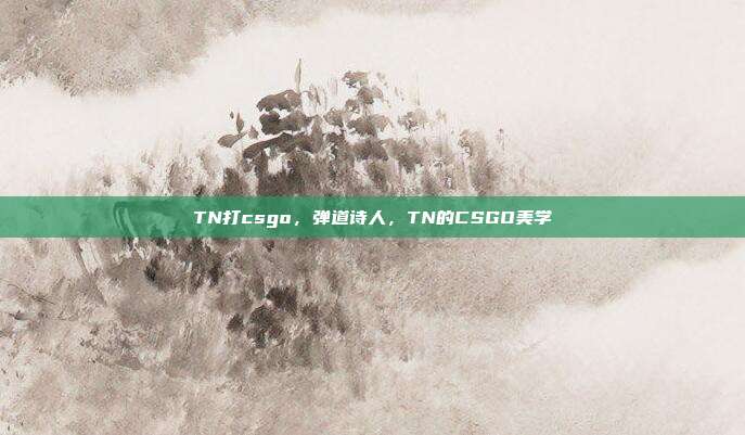 TN打csgo,弹道诗人,TN的CSGO美学