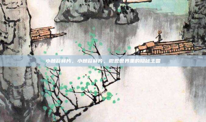 小棘苔藓片,小棘苔藓片,微观世界里的隐秘王国