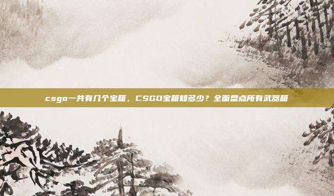 csgo一共有几个宝箱,CSGO宝箱知多少?全面盘点所有武器箱
