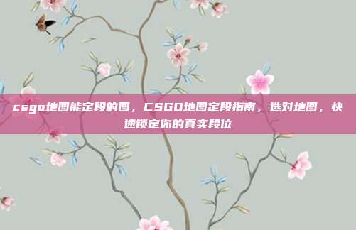 csgo地图能定段的图,CSGO地图定段指南,选对地图,快速锁定你的真实段位