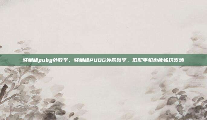 轻量版pubg外教学,轻量版PUBG外服教学,低配手机也能畅玩吃鸡