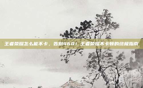 王者荣耀怎么能不卡,告别460!王者荣耀不卡顿的终极指南