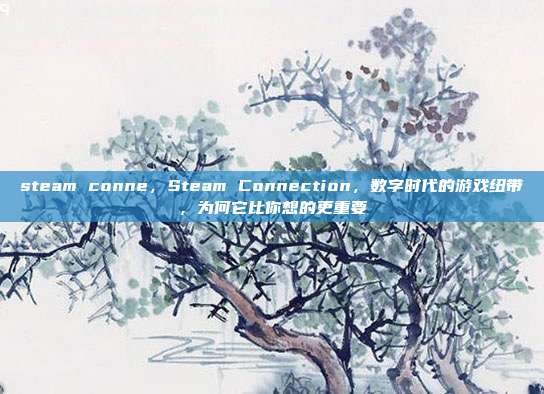 steam conne,Steam Connection,数字时代的游戏纽带,为何它比你想的更重要