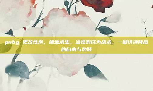 pubg 更改性别,绝地求生,当性别成为战术,一键切换背后的自由与伪装
