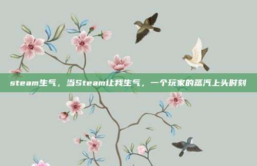 steam生气,当Steam让我生气,一个玩家的蒸汽上头时刻