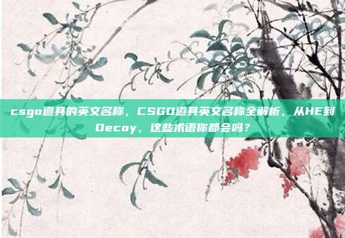 csgo道具的英文名称,CSGO道具英文名称全解析,从HE到Decoy,这些术语你都会吗?