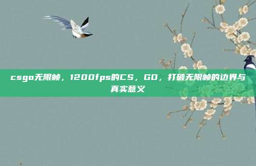 csgo无限帧,1200fps的CS,GO,打破无限帧的边界与真实意义
