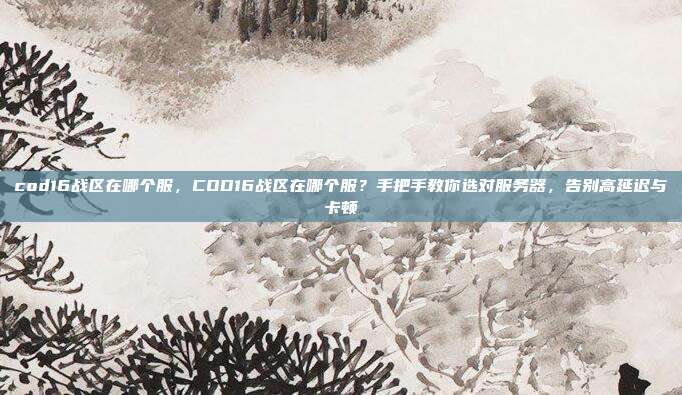 cod16战区在哪个服,COD16战区在哪个服?手把手教你选对服务器,告别高延迟与卡顿