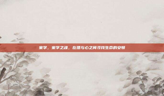 宋学,宋学之魂,在理与心之间寻找生命的安顿