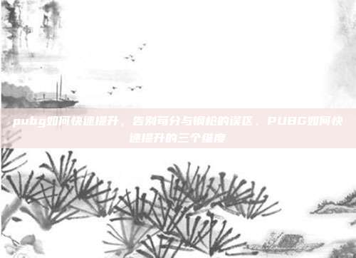 pubg如何快速提升,告别苟分与钢枪的误区,PUBG如何快速提升的三个维度