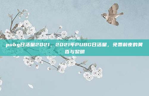 pubg日活量2021,2021年PUBG日活量,免费前夜的黄昏与黎明