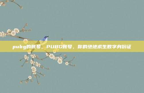 pubg的账号,PUBG账号,你的绝地求生数字身份证