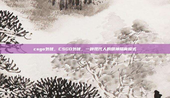 csgo勿扰,CSGO勿扰,一种现代人的精神隔离模式