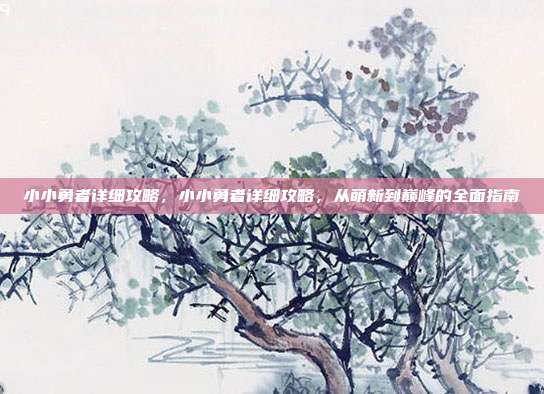小小勇者详细攻略,小小勇者详细攻略,从萌新到巅峰的全面指南