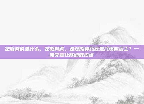 左旋肉碱是什么,左旋肉碱,是燃脂神药还是代谢搬运工?一篇文章让你彻底搞懂
