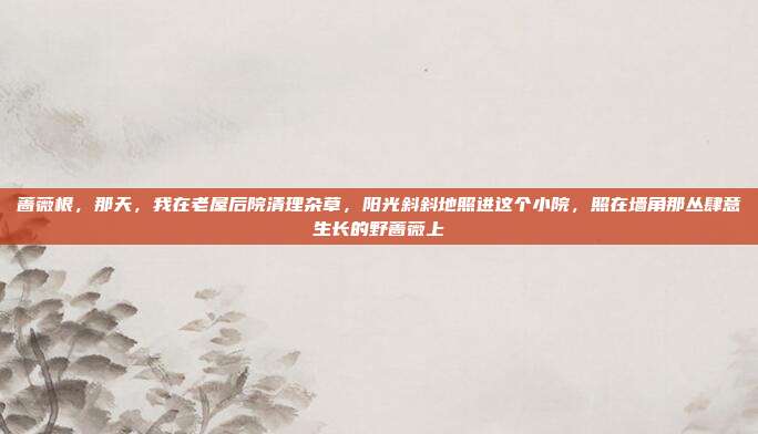 蔷薇根,那天,我在老屋后院清理杂草,阳光斜斜地照进这个小院,照在墙角那丛肆意生长的野蔷薇上