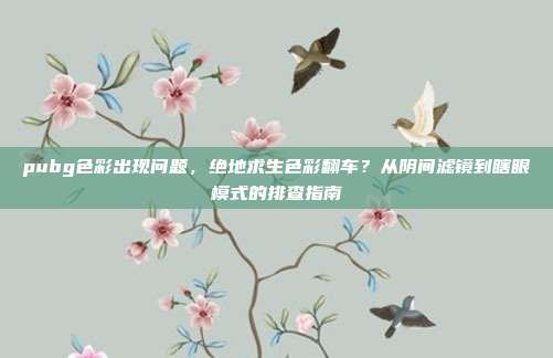 pubg色彩出现问题,绝地求生色彩翻车?从阴间滤镜到瞎眼模式的排查指南