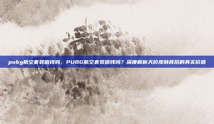pubg航空套装值钱吗,PUBG航空套装值钱吗?深度解析天价皮肤背后的真实价值