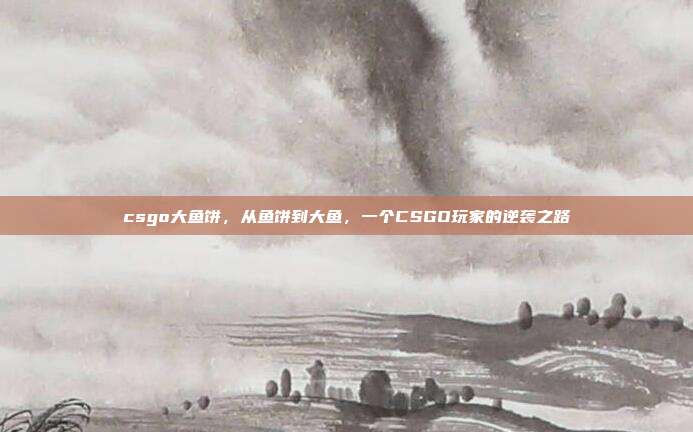 csgo大鱼饼,从鱼饼到大鱼,一个CSGO玩家的逆袭之路