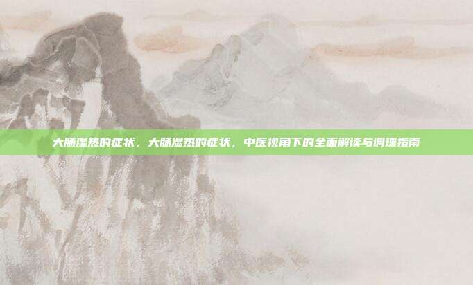 大肠湿热的症状,大肠湿热的症状,中医视角下的全面解读与调理指南