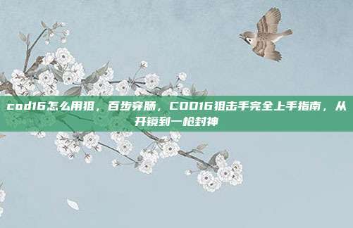 cod16怎么用狙,百步穿肠,COD16狙击手完全上手指南,从开镜到一枪封神