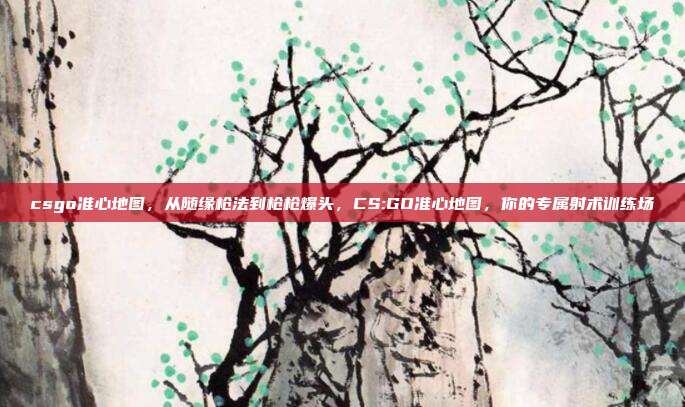 csgo准心地图,从随缘枪法到枪枪爆头,CS:GO准心地图,你的专属射术训练场