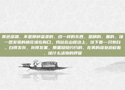 雾色深渊,不是那种温柔的、纱一样的东西,是稠的、重的,像一团发霉的棉花堵在胸口。我站在山崖边上,往下看—只有白。白得发灰,灰得发黑,那黑隐隐约约的,在雾的深处游移着,像什么活物的呼吸