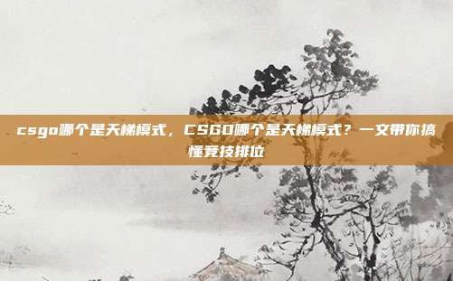 csgo哪个是天梯模式,CSGO哪个是天梯模式?一文带你搞懂竞技排位