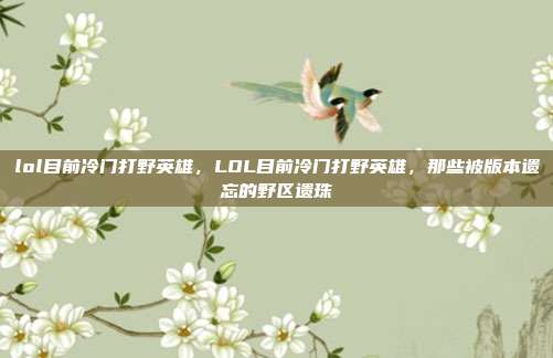 lol目前冷门打野英雄,LOL目前冷门打野英雄,那些被版本遗忘的野区遗珠