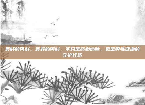 最好的男科,最好的男科,不只是药到病除,更是男性健康的守护灯塔