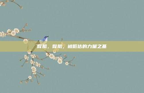 臀肌,臀肌,被低估的力量之基