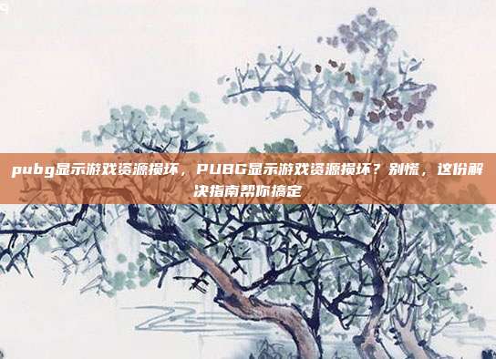 pubg显示游戏资源损坏,PUBG显示游戏资源损坏?别慌,这份解决指南帮你搞定