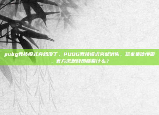 pubg竞技模式突然没了,PUBG竞技模式突然消失,玩家集体懵圈,官方沉默背后藏着什么?