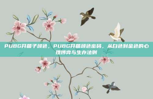 PUBG开箱子颜色,PUBG开箱颜色密码,从白色到金色的心理博弈与生存法则
