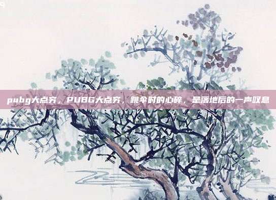 pubg大点穷,PUBG大点穷,跳伞时的心碎,是落地后的一声叹息