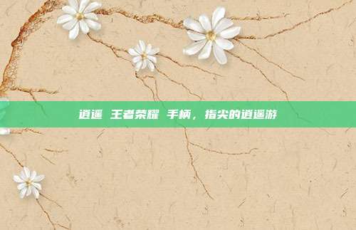 逍遥 王者荣耀 手柄,指尖的逍遥游
