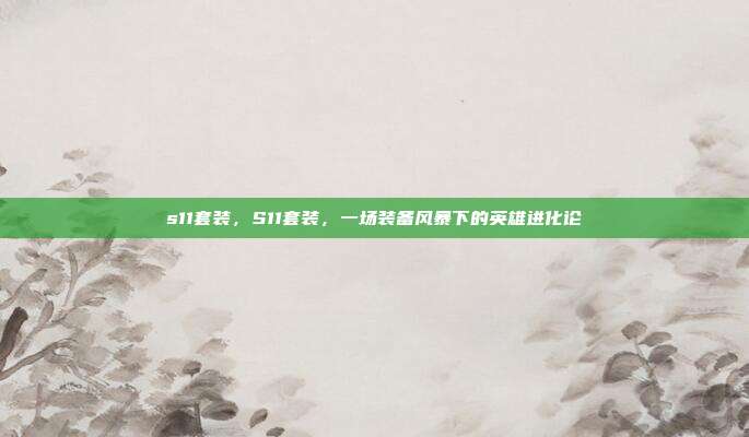 s11套装,S11套装,一场装备风暴下的英雄进化论