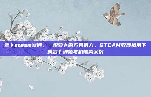 萝卜steam案例,一根萝卜的万有引力,STEAM教育视角下的萝卜种植与机械臂案例
