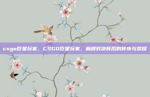 csgo巨星玩家,CSGO巨星玩家,巅峰对决背后的传奇与荣耀