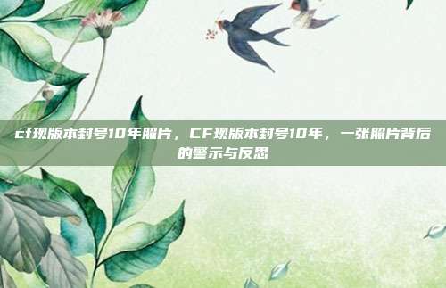 cf现版本封号10年照片,CF现版本封号10年,一张照片背后的警示与反思