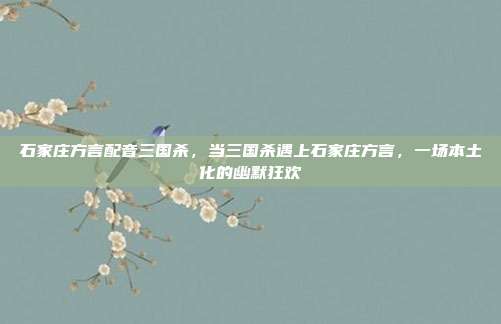 石家庄方言配音三国杀,当三国杀遇上石家庄方言,一场本土化的幽默狂欢
