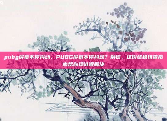 pubg屏幕不停抖动,PUBG屏幕不停抖动?别慌,这份终极排查指南帮你稳准狠解决