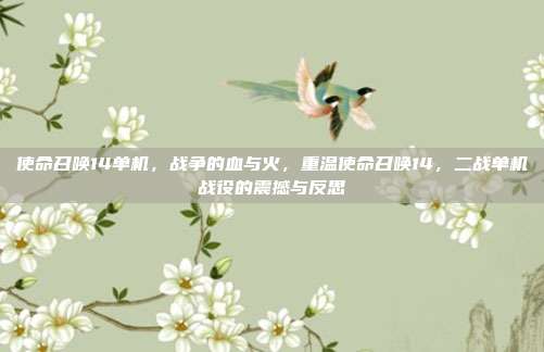 使命召唤14单机,战争的血与火,重温使命召唤14,二战单机战役的震撼与反思