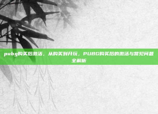 pubg购买后激活,从购买到开玩,PUBG购买后的激活与常见问题全解析
